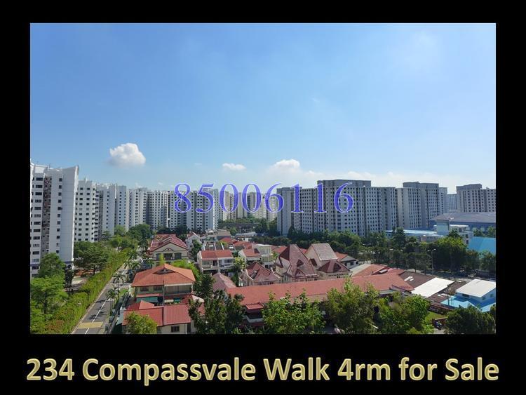 Blk 234 Compassvale Walk (Sengkang), HDB 4 Rooms #118342062